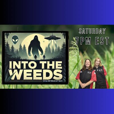 Into the Weeds Review of Amy King Duggar's Book