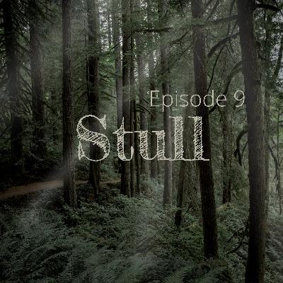 Episode 9: Stull