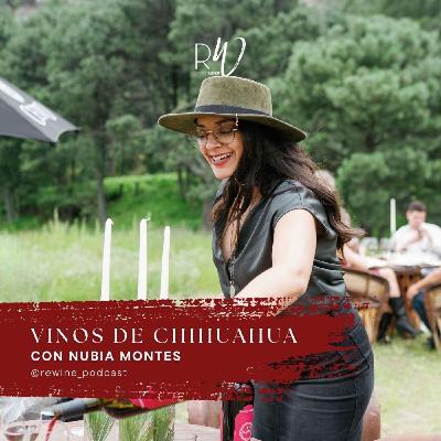 #231. Vinos de Chihuahua