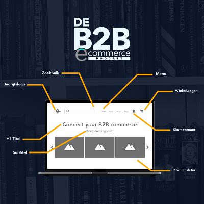 De anatomie van een B2B-webshop: de homepage