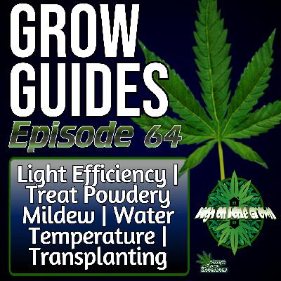 How to Maximise Light Efficiency | Prevent Powdery Mildew | Control Water Temps | Stress-Free Transplanting | With Chad Westport, Grow Guides Ep. 64