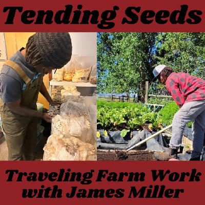 Ep 62 - Traveling Farm Work with James Miller
