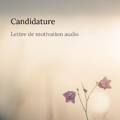 Candidature pour le poste de coordinateur culturel de la communauté de communes du nord-est Béarn