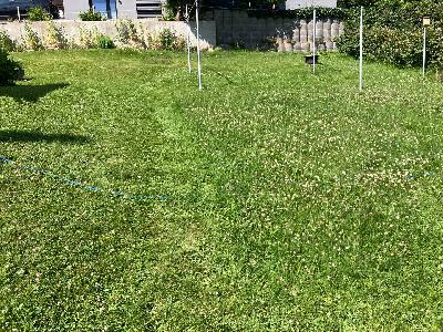 FGG241 – Ein bisschen Rasen mähen