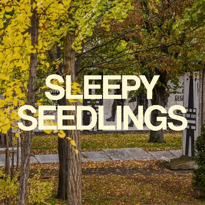 The Trees That Remember: A Memorial in Berlin