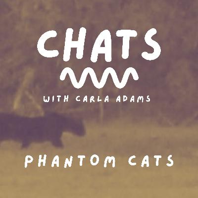 CHATS - Episode 4 - Phantom Big Cats CHATS - Episode 4 - Phantom Big Cats
