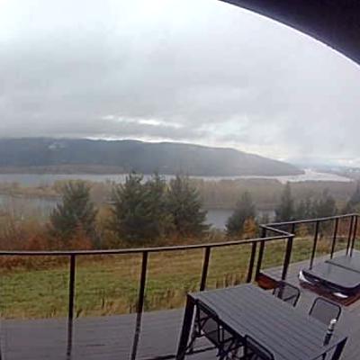 #4615 Grills Just Want To Have Fun