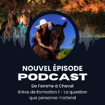 De Femme à Cheval - Brève de formation 1 : La question que personne n'attend... De Femme à Cheval - Brève de formation 1 : La question que personne n'attend...