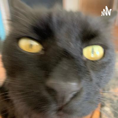 stonksys advice (Trailer)