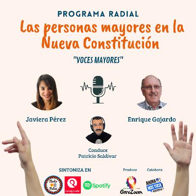 Las personas mayores en la nueva constitución - Capítulo 4