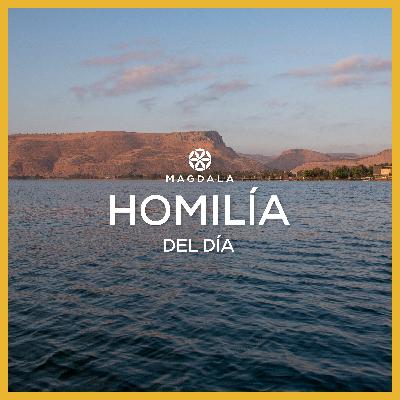 3 de enero 3 de enero