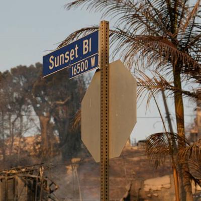 Panic At The Palisades – The Los Angeles Fires Panic At The Palisades – The Los Angeles Fires