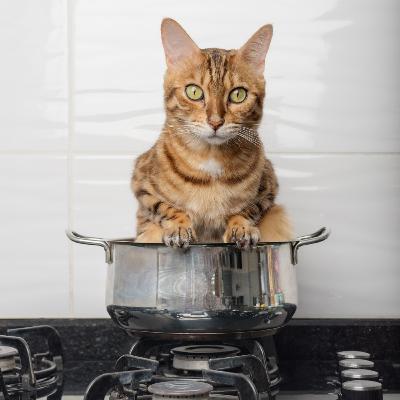 MAMIE RACONTE #9 - Toltèque-moi tout ça !