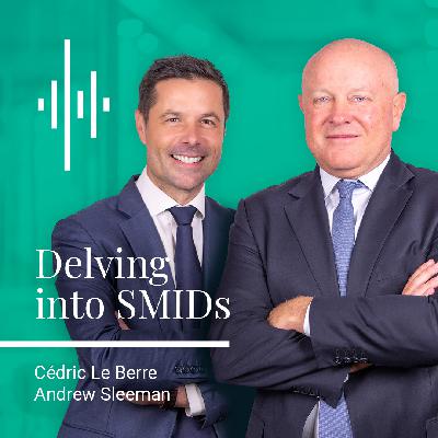 Delving into the small and mid-cap market after the election