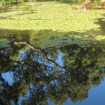 Episode 1: Full Moon in Sagittarius Reading Episode 1: Full Moon in Sagittarius Reading