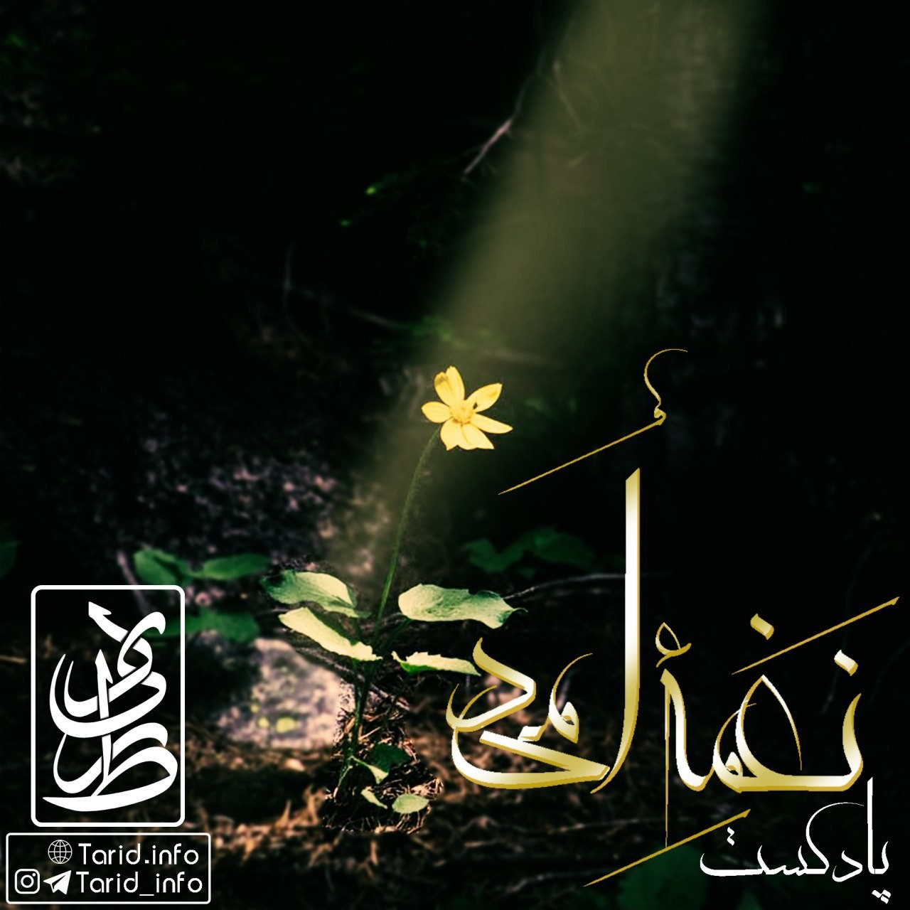 پادکست "نغمه ی امید"