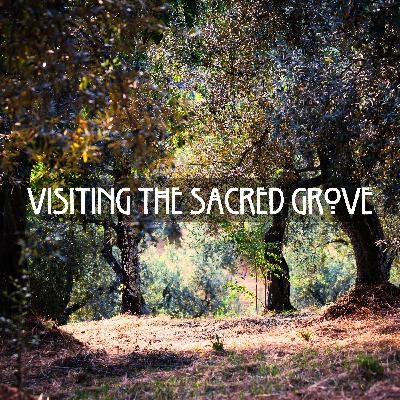 Visiting the Sacred Grove (Guided Meditation)