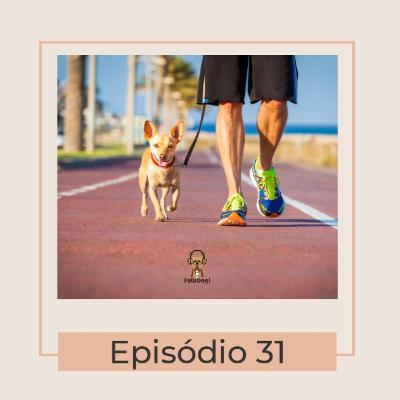 Meu cachorro não me obedece no passeio. O que eu faço?