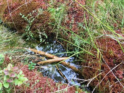 PHS244 Wasser in Österreich