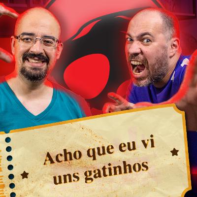 Thunder Cats! Hooooo!!!