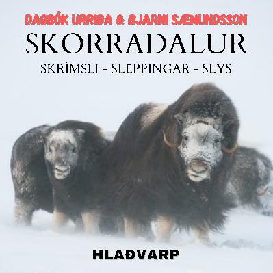 SKORRADALUR - SKRÍMSLI - SLEPPINGAR -SLYS