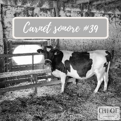 Carnet sonore n° 39 : Pétunia et corvées au petit matin !