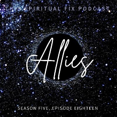 5.18 Allies in Higher Dimensions