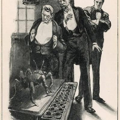 La recette pour créer des mites