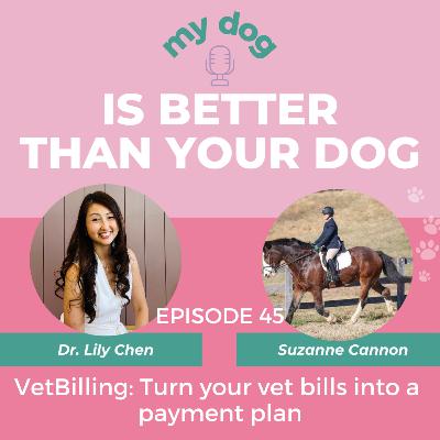 VetBilling: Turn your vet bills into a payment plan
