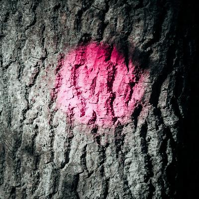 Anthroposophy #3: Uncovering the Mark of the Beast according to Anthroposophy Anthroposophy #3: Uncovering the Mark of the Beast according to Anthroposophy