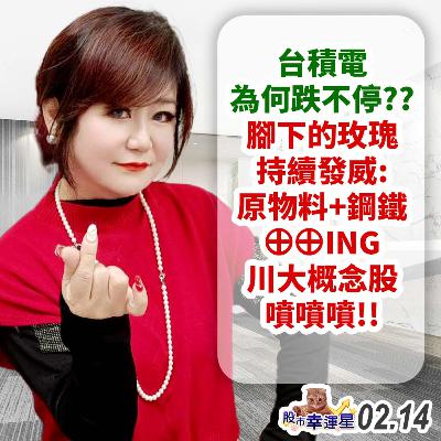 台積電為何跌不停??腳下的玫瑰持續發威:原物料+鋼鐵⊕⊕ING 川大概念股噴噴噴!!|2025/02/14|股市幸運星 林幸蓉 台積電為何跌不停??腳下的玫瑰持續發威:原物料+鋼鐵⊕⊕ING 川大概念股噴噴噴!!|2025/02/14|股市幸運星 林幸蓉