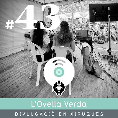 43 | En directe des del Delta Birding Festival 2025