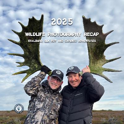 2025 Wildlife Photography Recap: Svalbard, Elk Rut & Caribou Adventures 2025 Wildlife Photography Recap: Svalbard, Elk Rut & Caribou Adventures