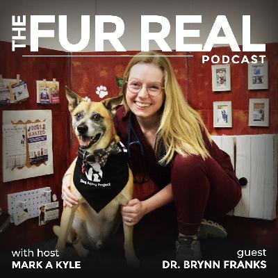 "THE DOG AGING PROJECT: Unlocking the secrets of canine longevity" with Dr. Brynn Franks "THE DOG AGING PROJECT: Unlocking the secrets of canine longevity" with Dr. Brynn Franks