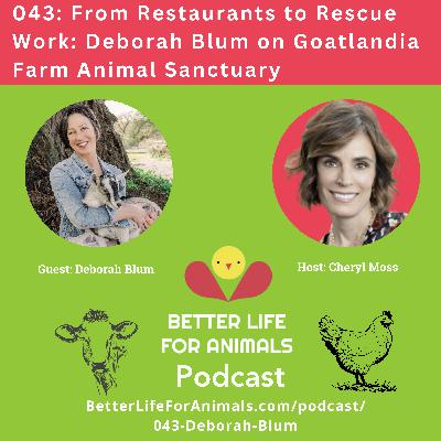 043: From Restaurants to Rescue Work: Deborah Blum on Goatlandia Farm Animal Sanctuary