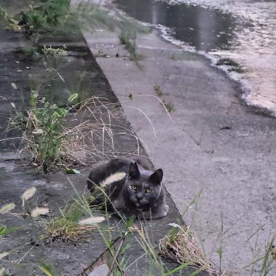 #139｜GOLD'S GYM catと温泉の話の続き