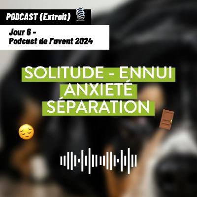 JOUR 6 - Solitude - Ennui - Anxiété - Séparation [Podcast de l'avent 🎄]