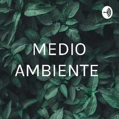 Historia del Medio Ambiente