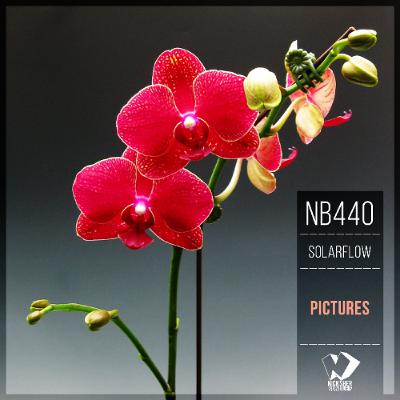 SolarFlow - Pictures (Original Mix) SolarFlow - Pictures (Original Mix)