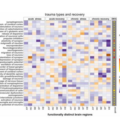MultiModalGraphics: an R package for graphical integration of multi-omics datasets