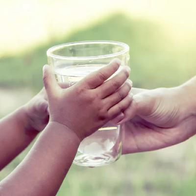 El agua en el cuerpo humano (393) El agua en el cuerpo humano (393)