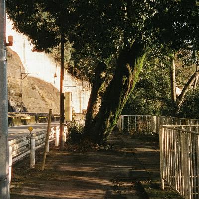 #16-3 『世界の適切な保存（永井玲衣）』読書会 / 経験をどのように取り扱うか