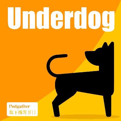 EP8 番外 - 奈飞文化手册-我们只招成年人 - Underdog EP8 番外 - 奈飞文化手册-我们只招成年人 - Underdog
