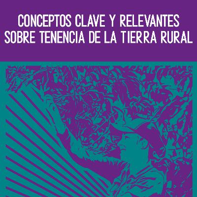 Conceptos clave y relevantes sobre tenencia de la tierra rural