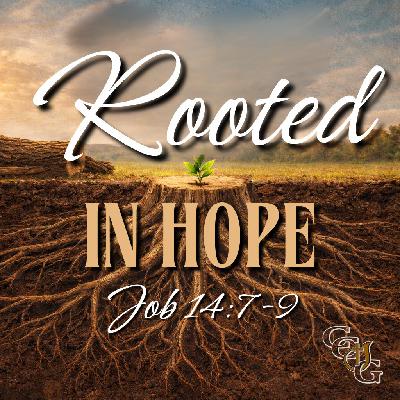 "Rooted in Hope"