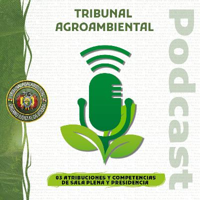 ATRIBUCIONES DE SALA PLENA Y PRESIDENCIA