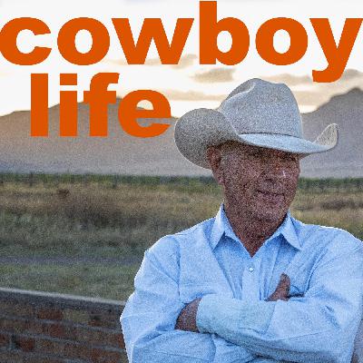 Ed Ashurst has cowboyed on the most iconic ranches in Arizona