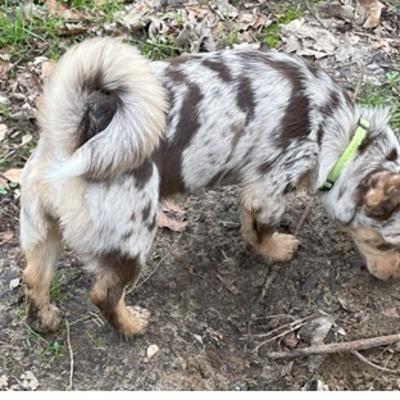 #47 Het gaat om jouw eigen unieke weg #47 Het gaat om jouw eigen unieke weg