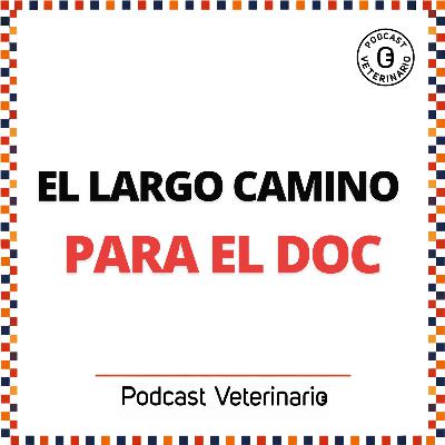 El largo camino del DOC
