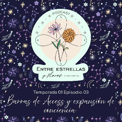 Episodio 03- Barras de Access y expansión de conciencia con Kari Giorello